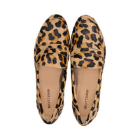 Acai Leopard Pony F25