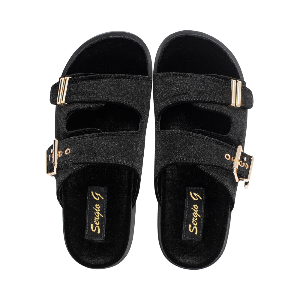 Bayley Black Velvet F25