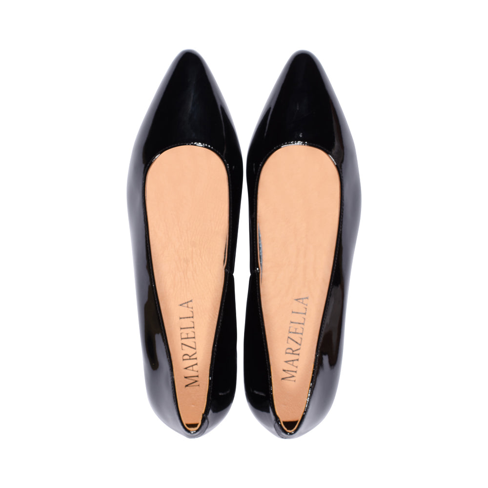 Hosta Black Patent F23