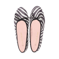 Missouri Zebra Pony F23