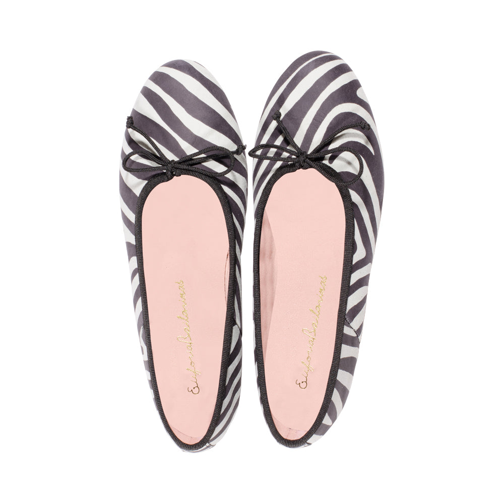 Missouri Zebra Pony F23