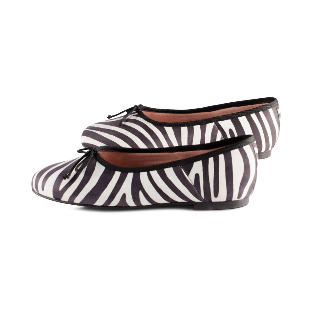 Missouri Zebra Pony F23