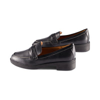 Zinnia Black Snake F23