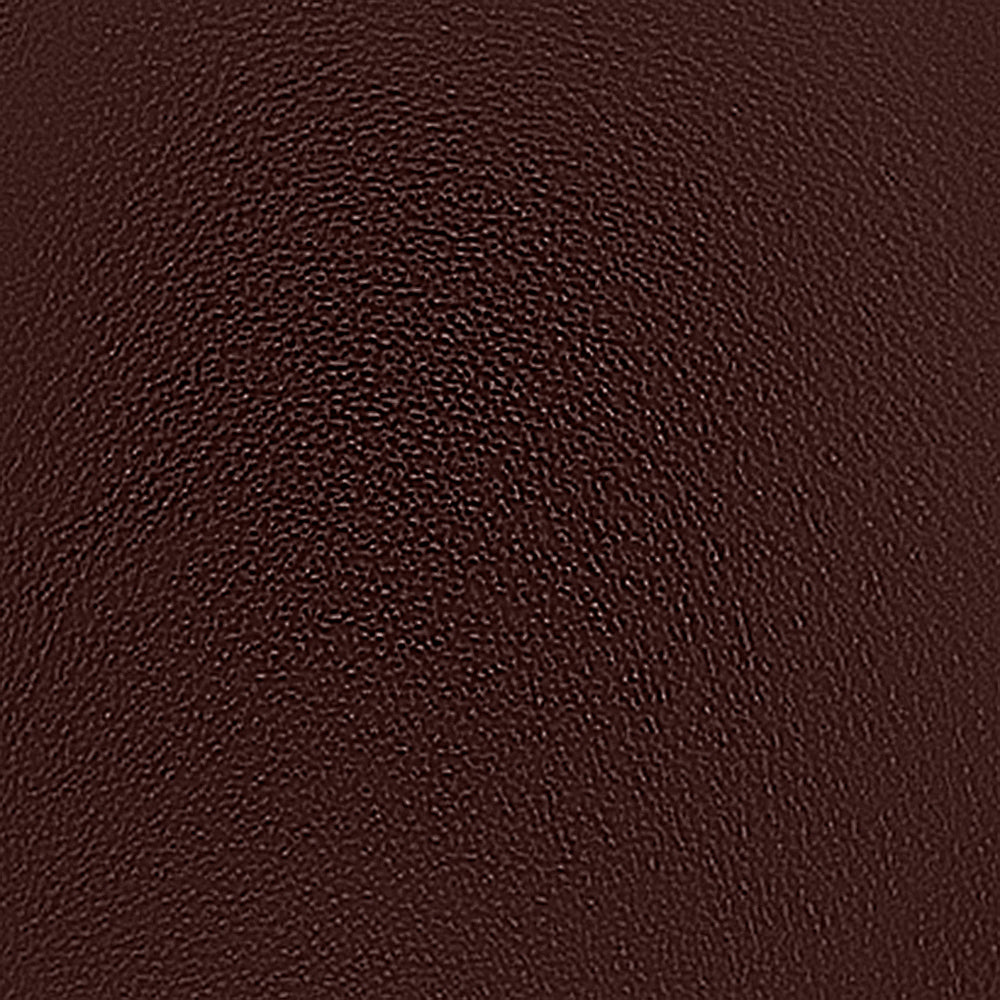 Barney Chocolate Leather F26