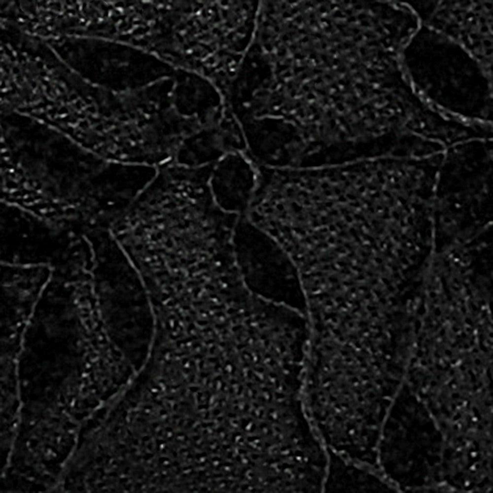 Ben Black Embroidered Velvet F26