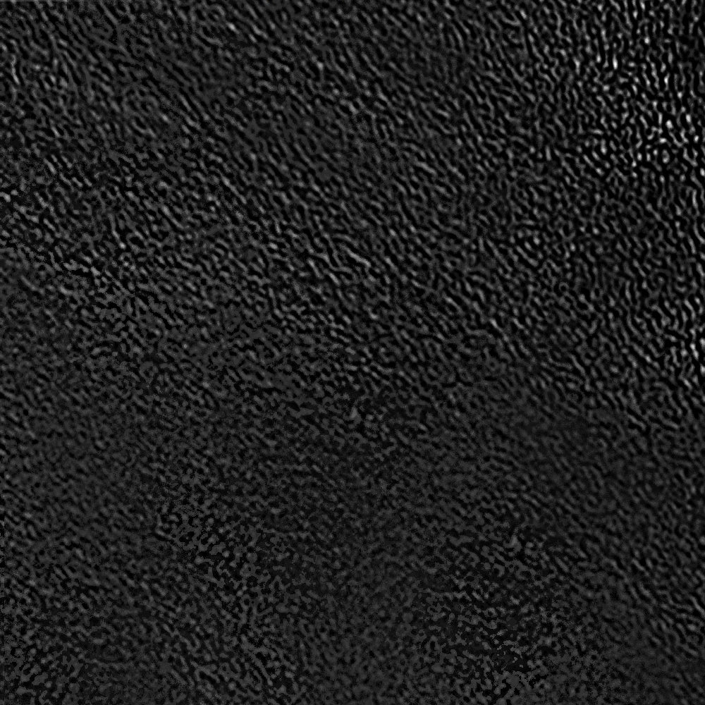 Daffy Black Leather F26