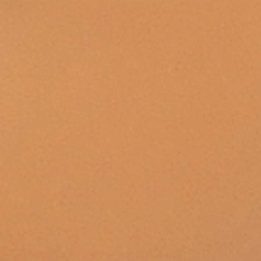 Dina Tan Leather F26