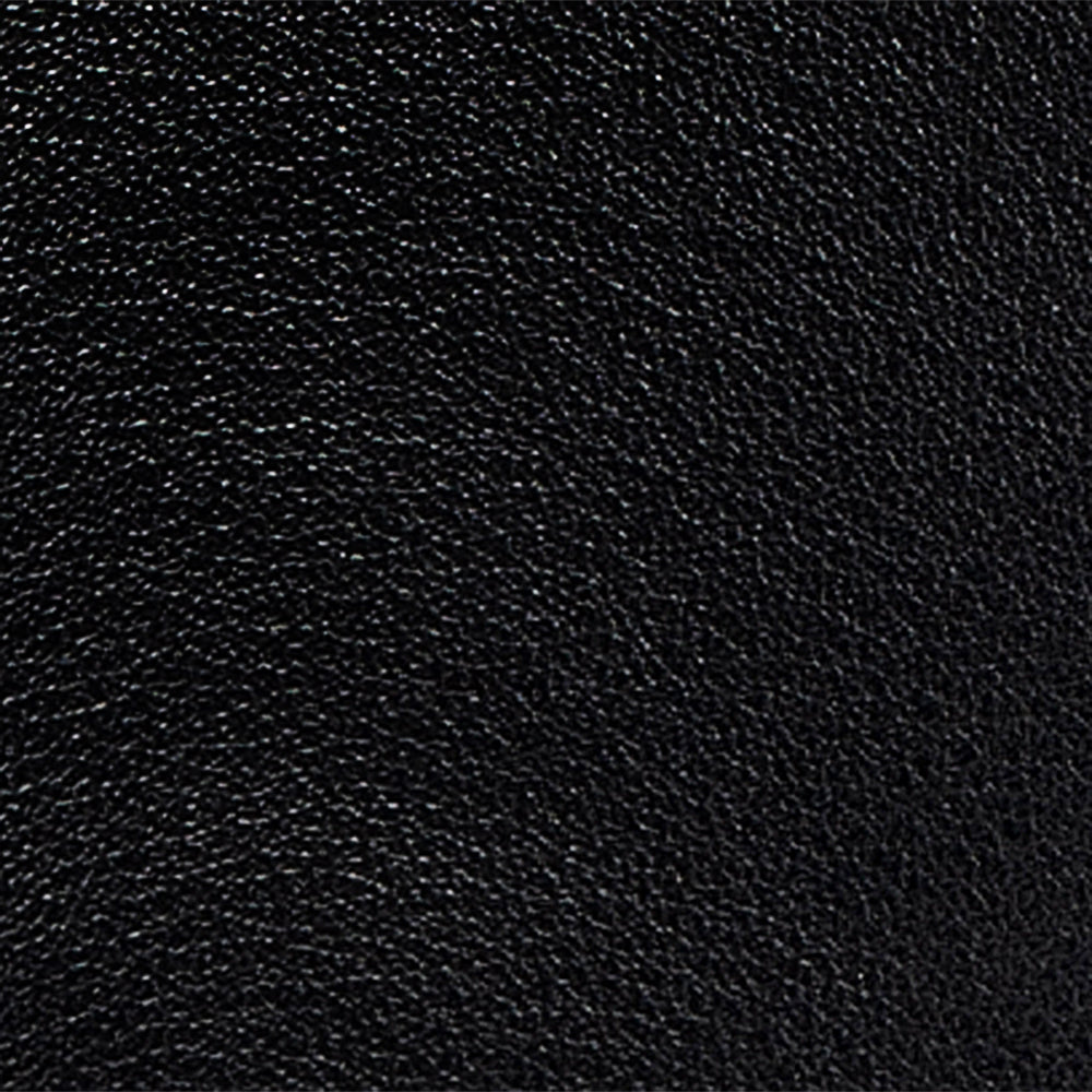 Elodie Black Leather F26