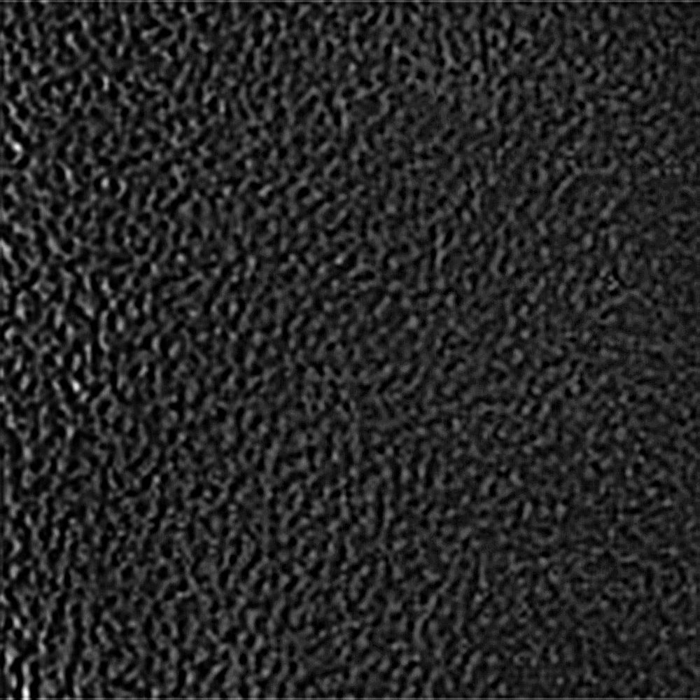 Garfield Black Leather F26
