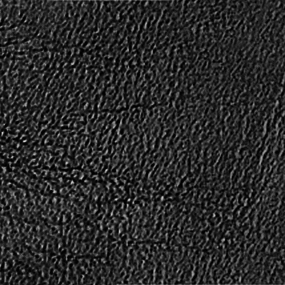 Leora Black Leather F26