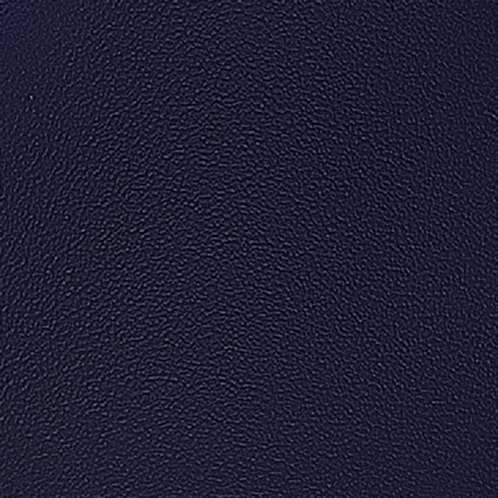 Lessy Navy Leather F26
