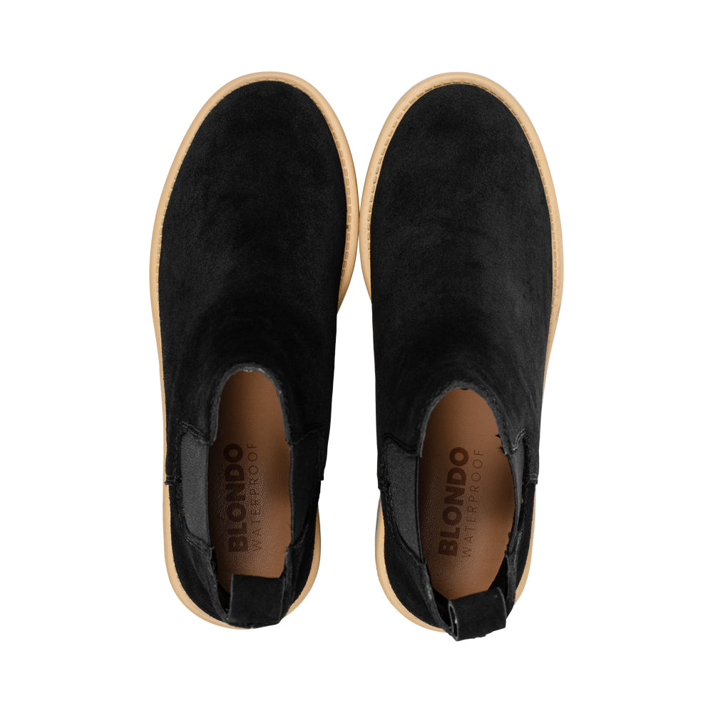 Moira Black F26