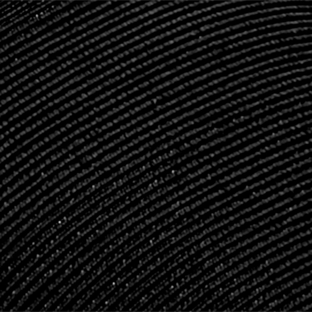 Quay Black Grosgrain F26
