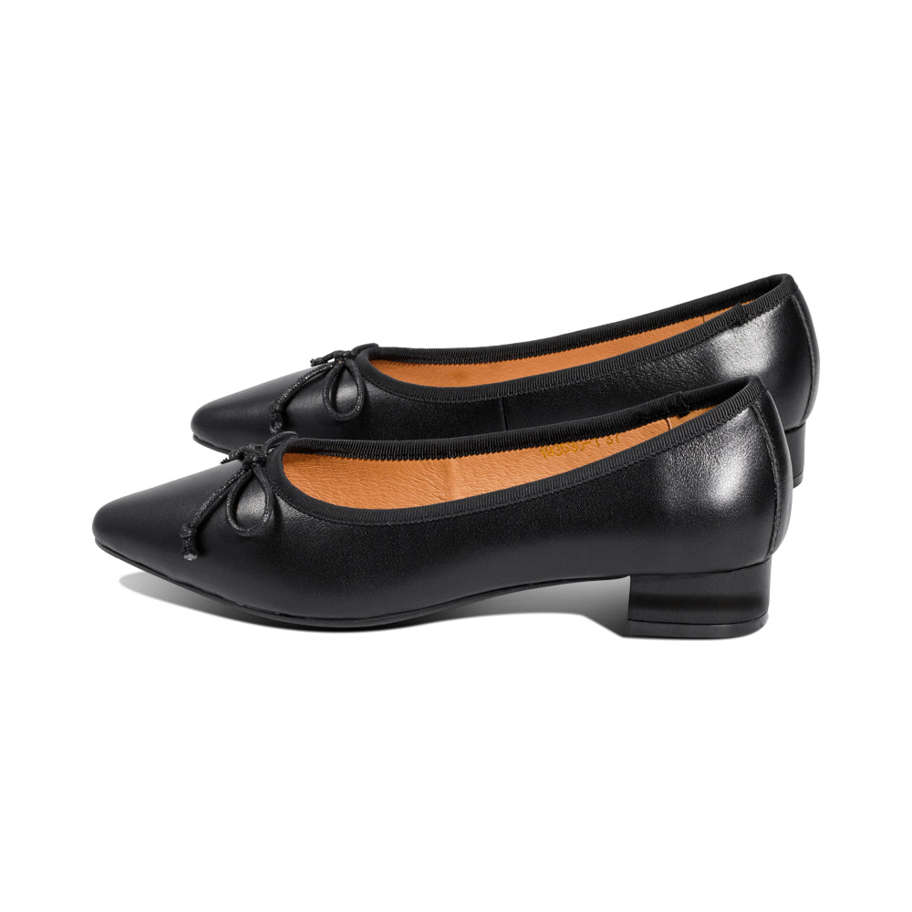 Raven Black Leather F25
