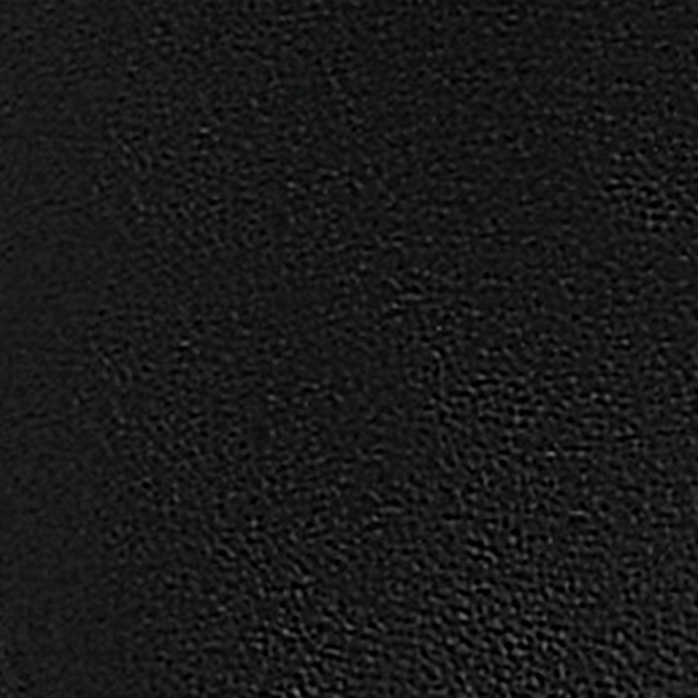 Ray Black Leather F26