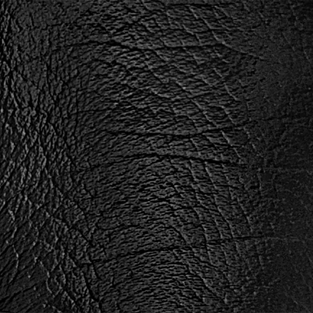 Skyla Black Grain Leather F26