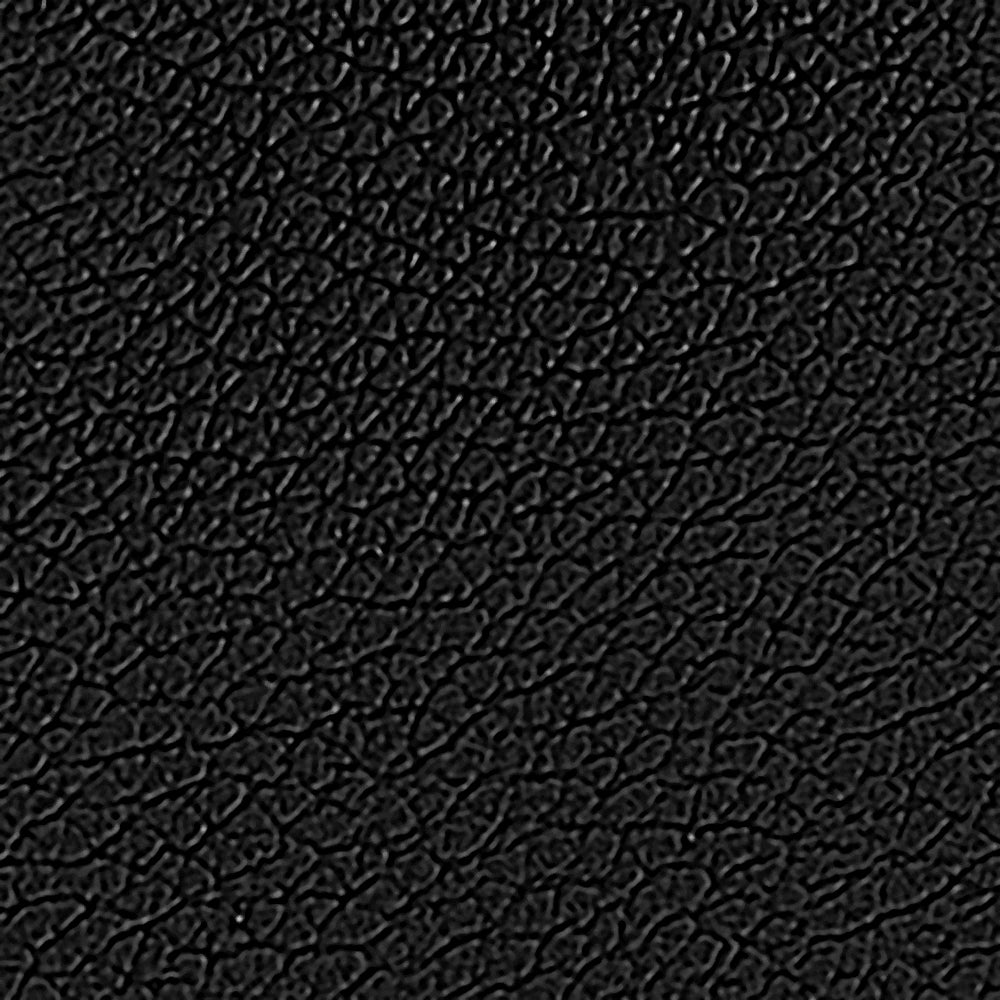 Tant Black Grainy Leather F26