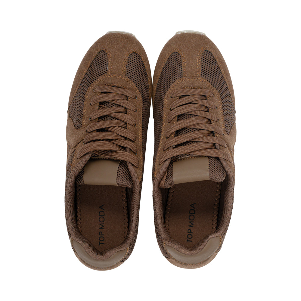 Tg-Glen1 Brown S26