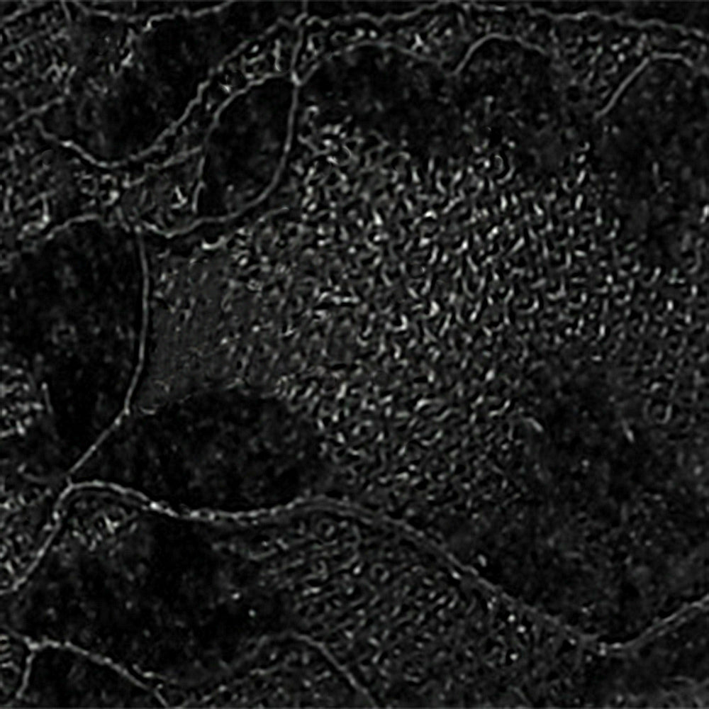 Newthin Black Velvet Embroidery F26